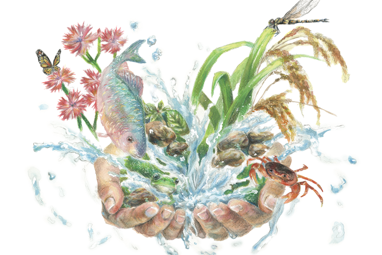 地球さんご賞のメインイメージ